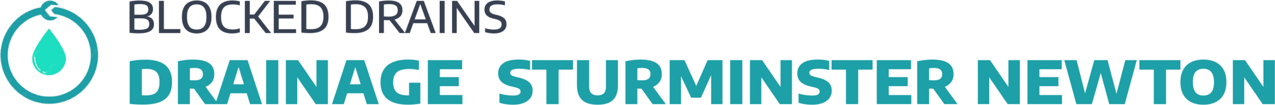 website logo